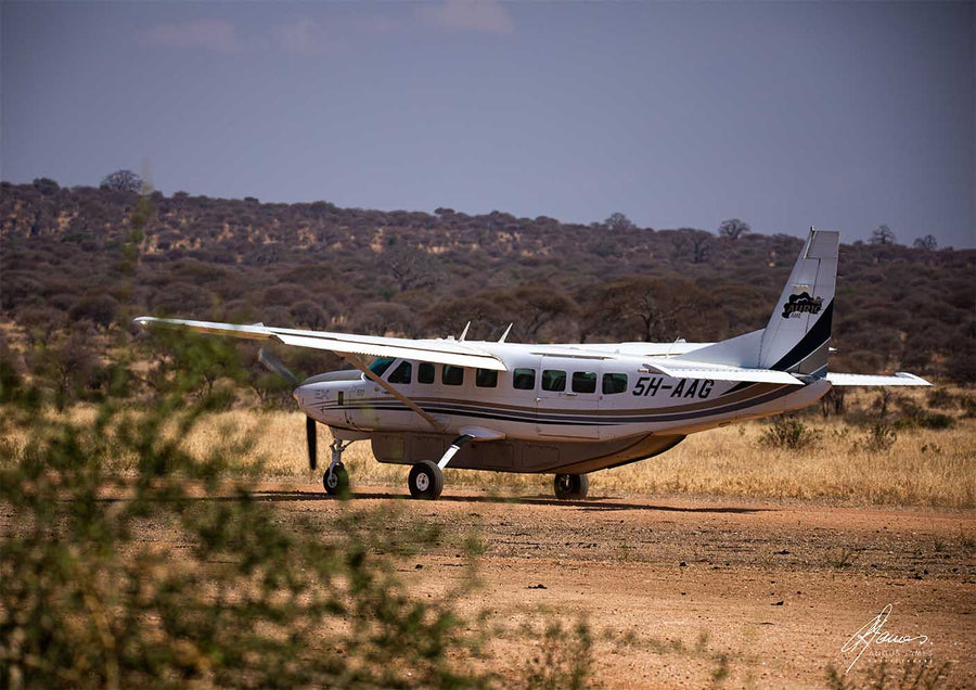 DT075 - Safari Plane