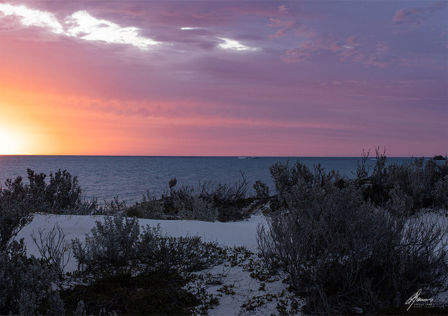 DT111 - West Coastal Sand dunes Sunset