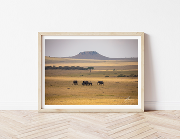 DT076 - Elephant Family Moving Across the Serengeti