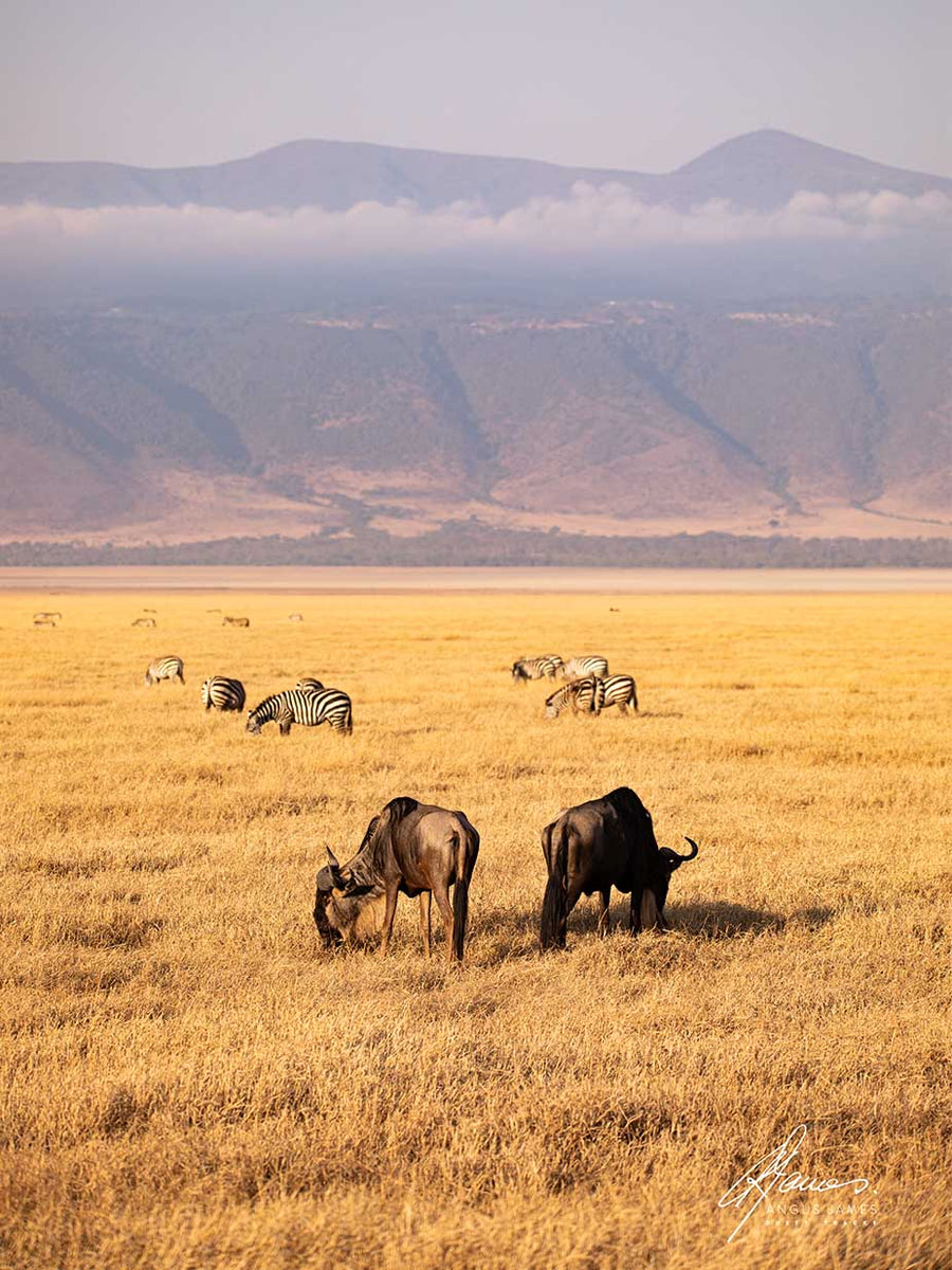 DT045 - Ngorongoro Crater